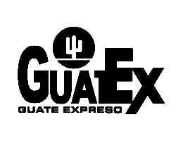 Logo de Guatex